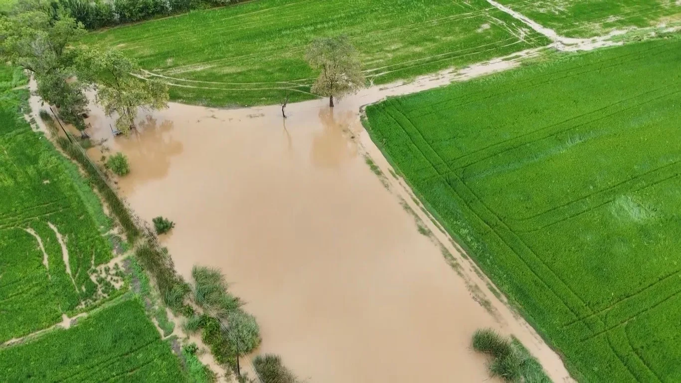 Bafra Ovası’nda tarım arazileri sular altında