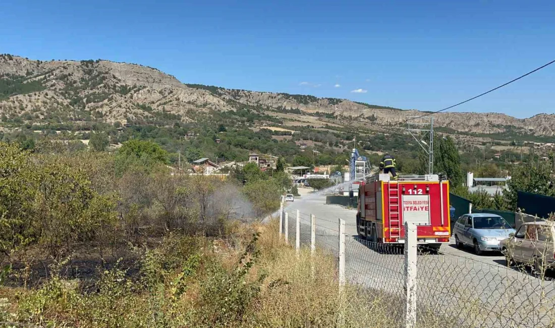 KASTAMONU’NUN TOSYA İLÇESİNDE BAĞ