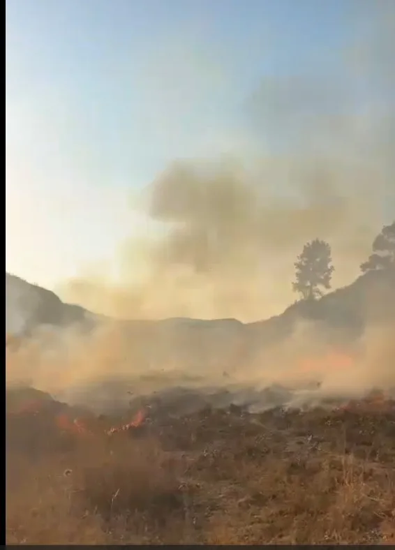 Bahçesindeki otları yakarak temizlemeye kalkışan şahıs Marmaris’i ayağa kaldırdı