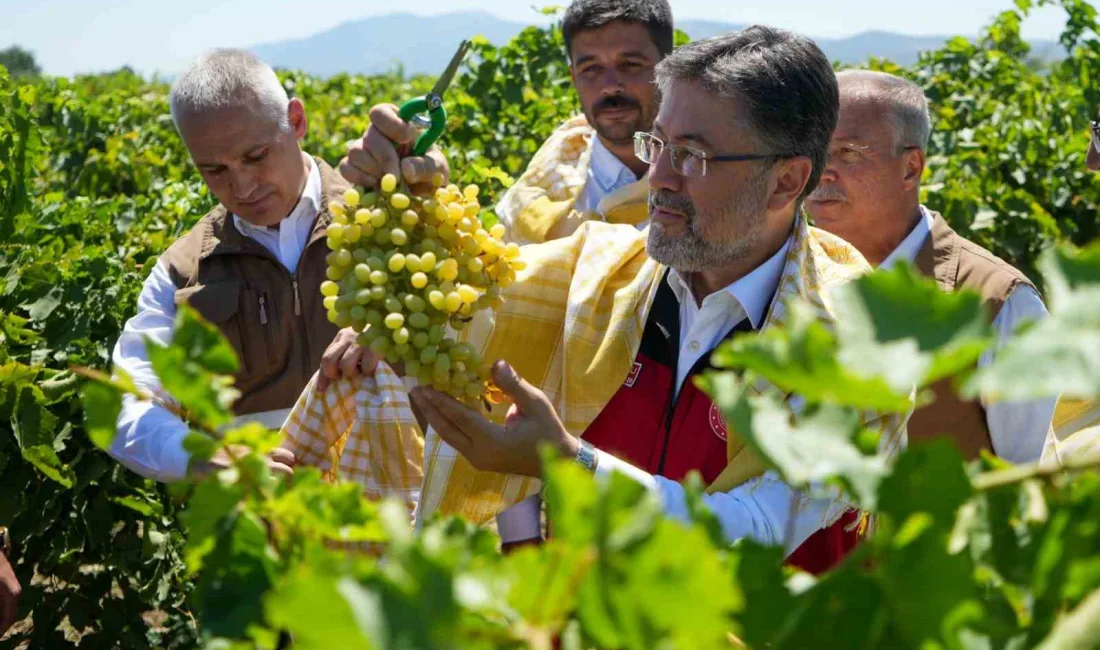 TARIM VE ORMAN BAKANI