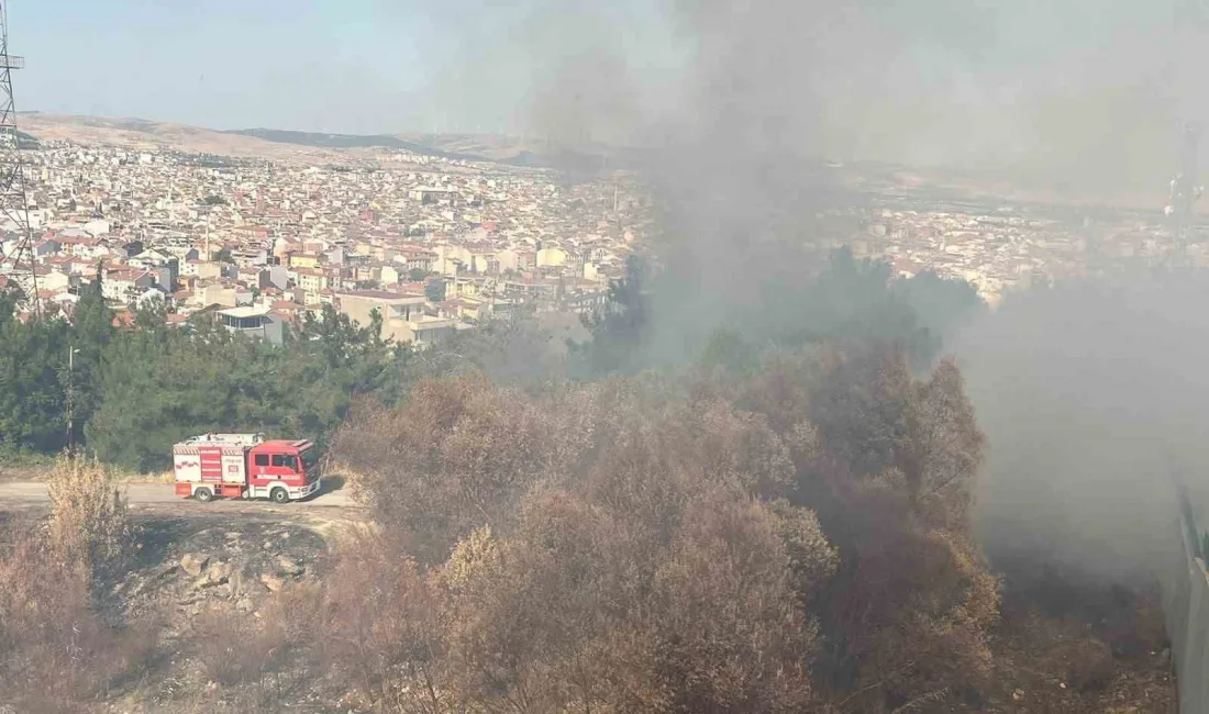 BALIKESİR'İN ÇAMLIK MEVKİİNDE ÇIKAN