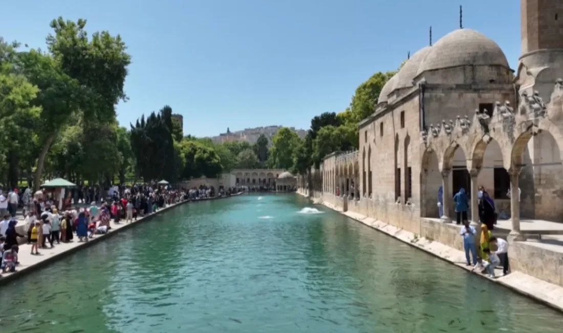 ŞANLIURFA'NIN SİMGESİ BALIKLIGÖL'DE GEZERKEN