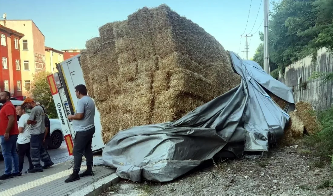 BARTIN'DA KAVŞAĞI DÖNEMEYEN SAMAN