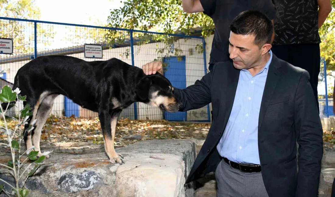 BAŞKAN GÜNEL: “ŞARTLAR NE