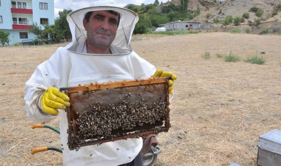 BATMAN'DA ORGANİK KARA KOVAN