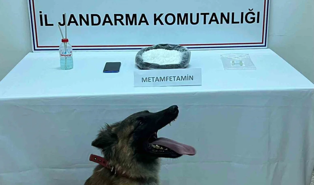 BİTLİS İL JANDARMA KOMUTANLIĞI