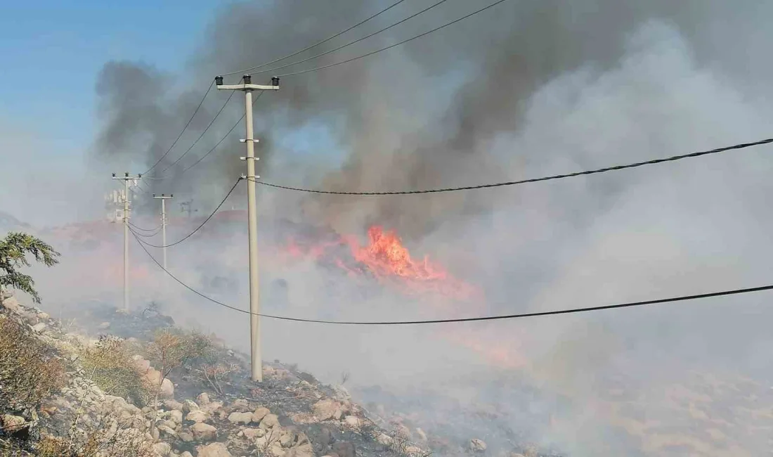 BODRUM'DA KORKUTAN YANGIN