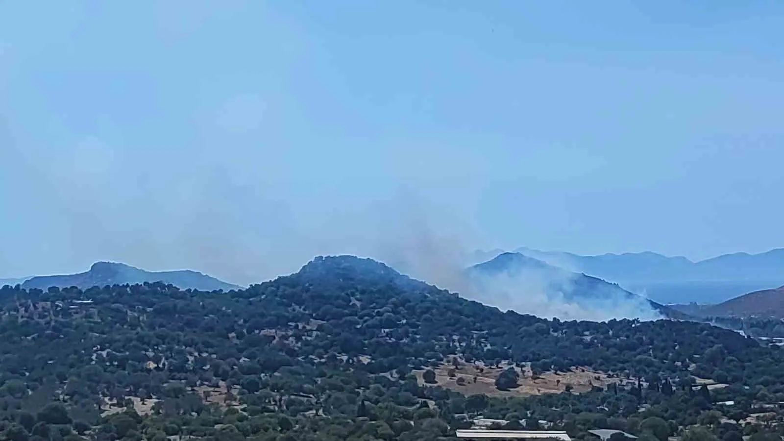 Bodrum’da makilik alanda yangın