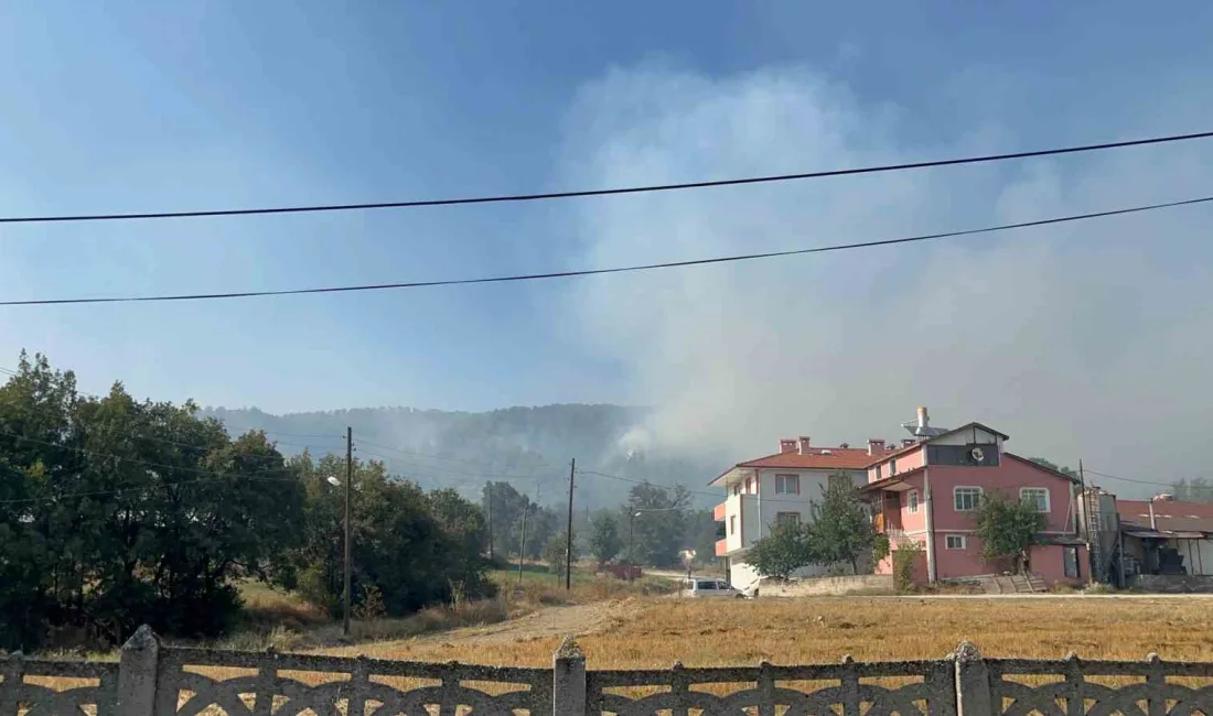 EKİRFAKILAR KÖYÜ'NDE 15 AĞUSTOS