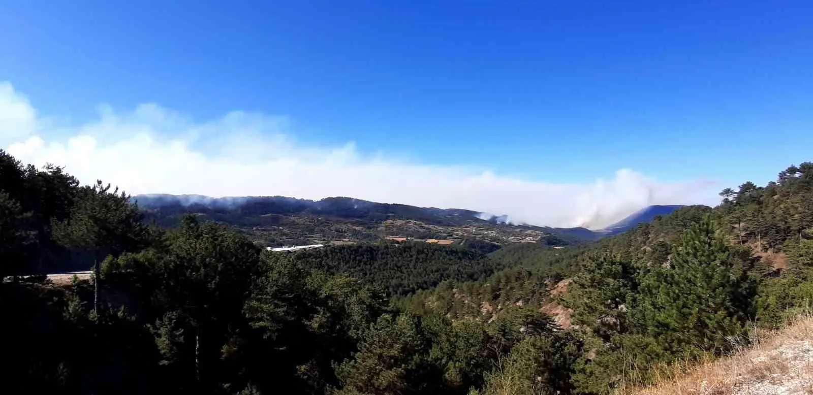 Bolu’da orman yangını 21’nci saatinde: Sabahın ilk ışıklarıyla havadan müdahale başladı