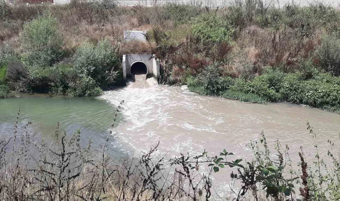 BOLU'DA ÇEVREYİ KİRLETEN 16