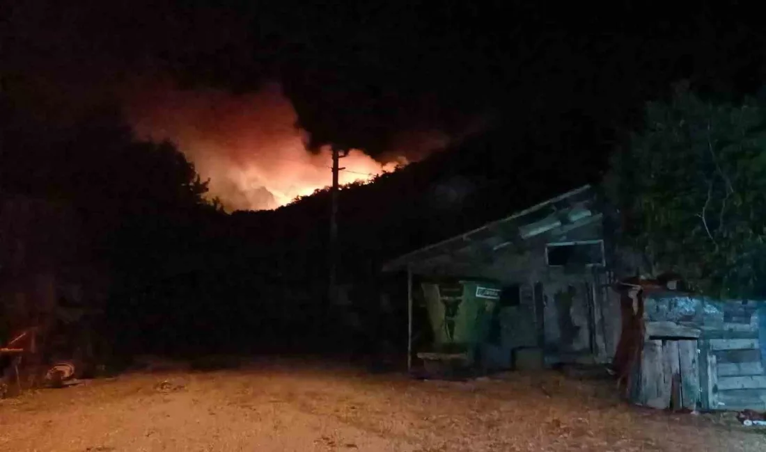 BOLU’NUN GÖYNÜK İLÇESİNDEKİ ORMANLIK