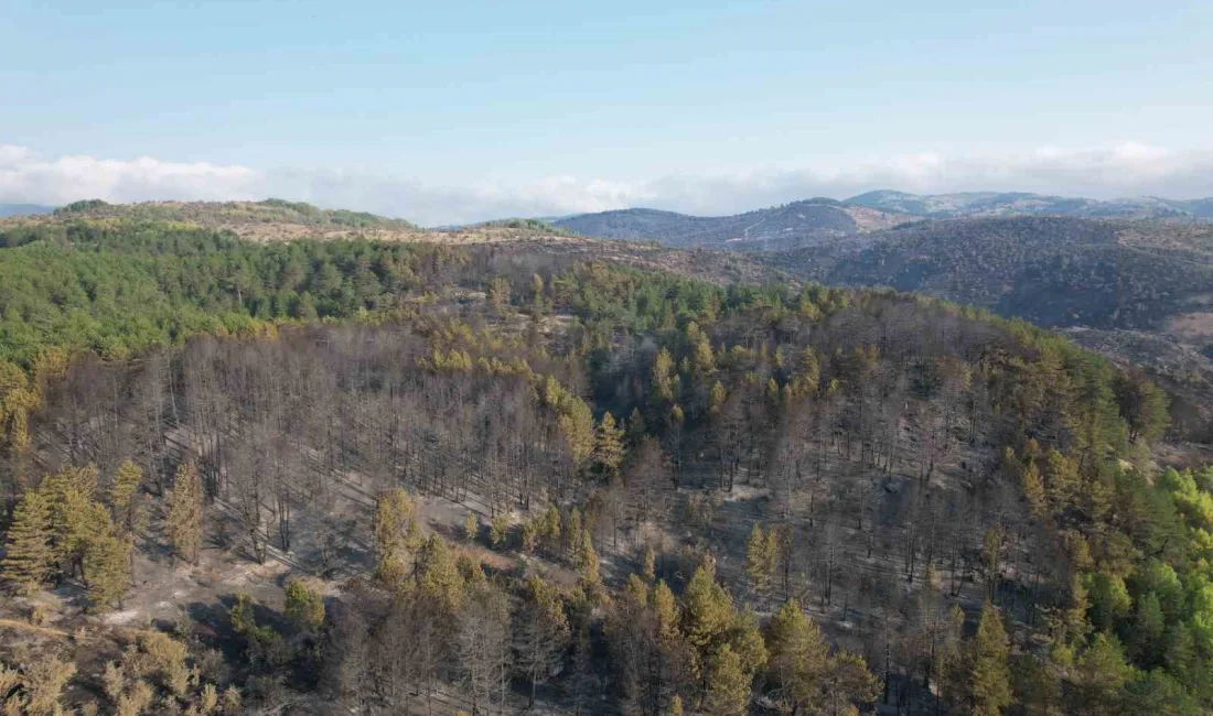 ANKARA-BOLU İL SINIRINDA OTLUK ALANDA BAŞLAYAN YANGININ SÖNDÜRME VE SOĞUTMA