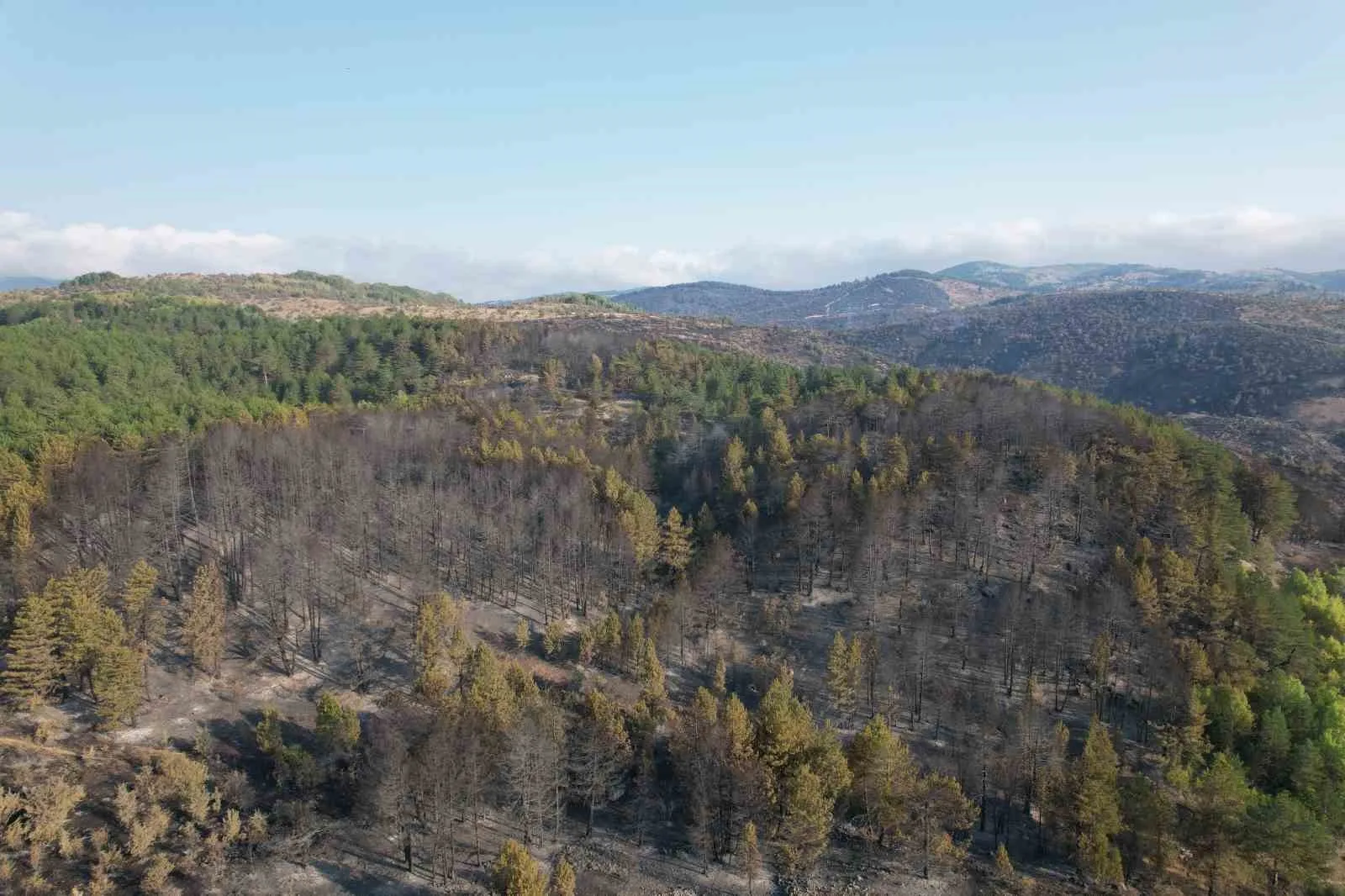 ANKARA-BOLU İL SINIRINDA OTLUK ALANDA BAŞLAYAN YANGININ SÖNDÜRME VE SOĞUTMA