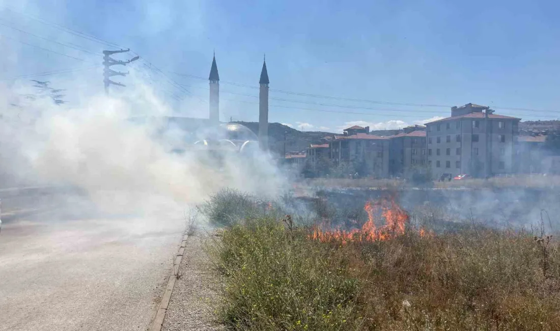 ESKİŞEHİR'DE BOŞ ARAZİDE ÇIKAN