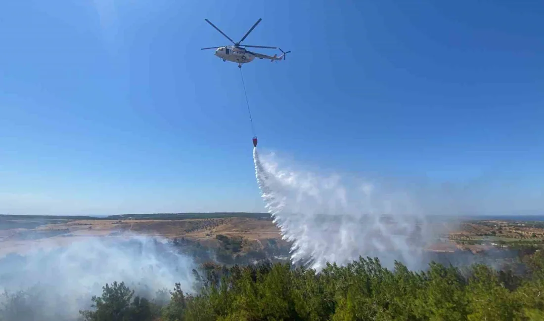 ÇANAKKALE'NİN BOZCAADA İLÇESİNDE ZİRAAT