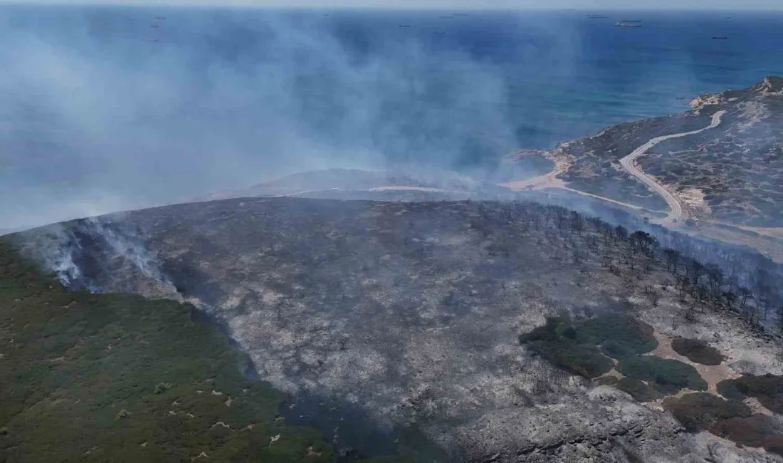 ÇANAKKALE'NİN BOZCAADA İLÇESİNDE ZİRAAT