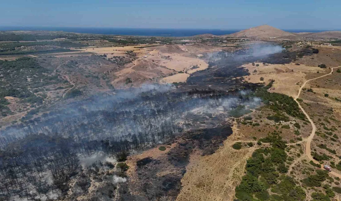 ÇANAKKALE'NİN BOZCAADA İLÇESİNDE ZİRAAT