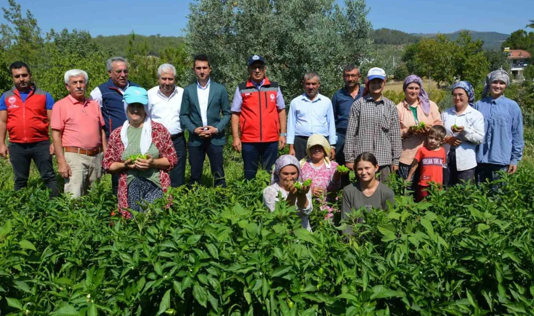 AYDIN'IN BOZDOĞAN İLÇESİNDE İLK