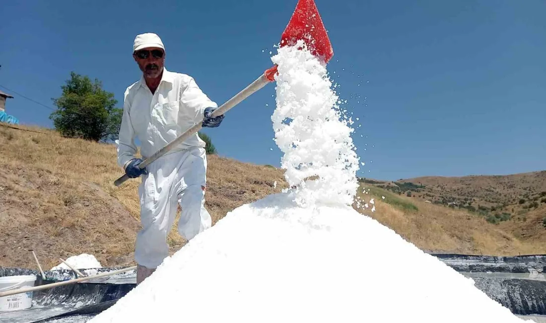 TUNCELİ’NİN PÜLÜMÜR İLÇESİNDE ÜRETİLEN