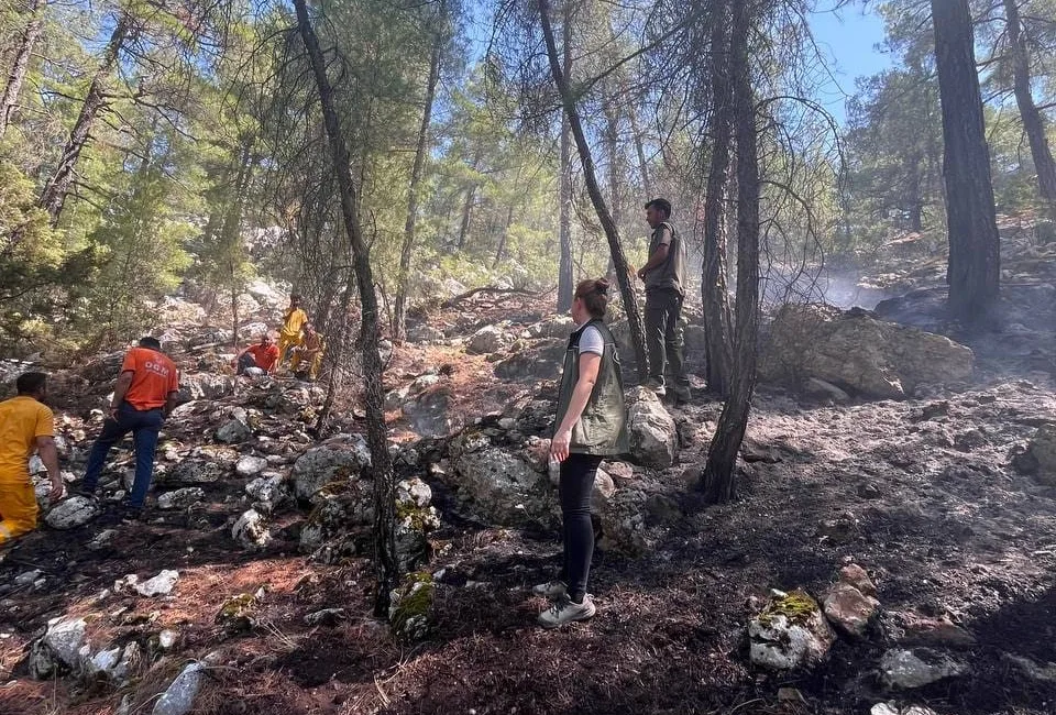 BURDUR’UN BUCAK İLÇESİNDE YILDIRIM