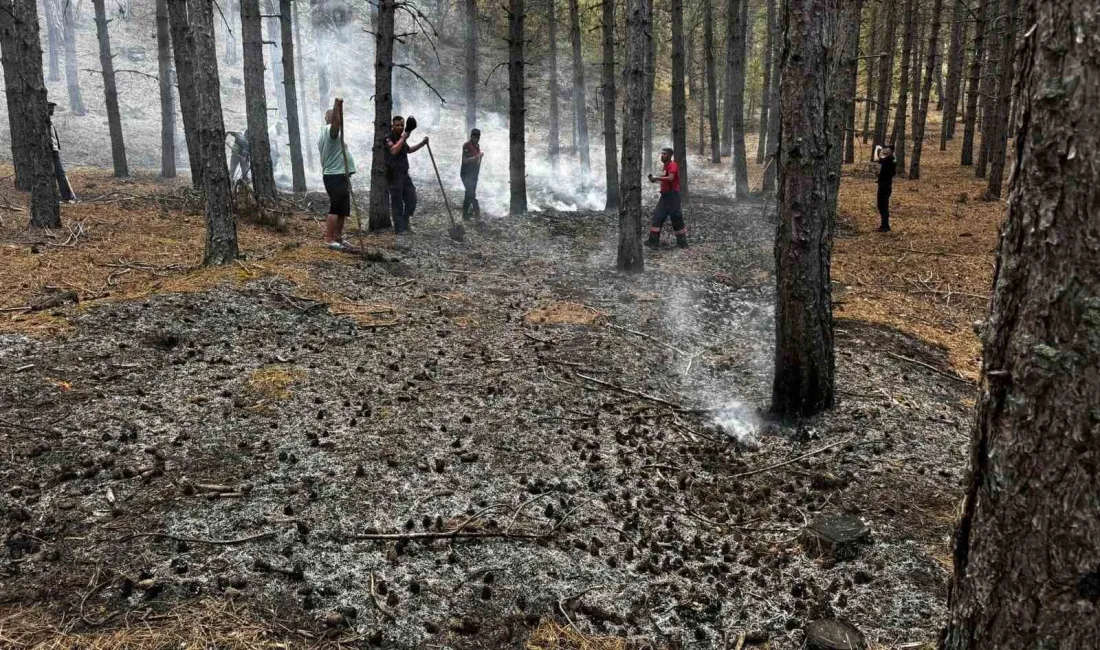 ÇANKIRI’NIN ELDİVAN İLÇESİNDE YILDIRIMIN