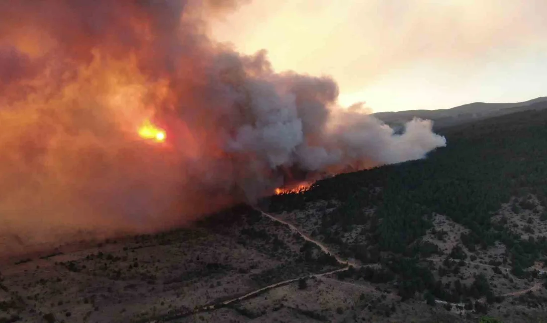 ÇANKIRI'NIN ILGAZ İLÇESİNDE ÇIKAN