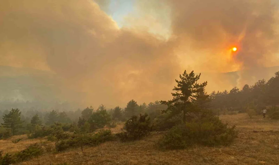 ÇANKIRI’NIN ILGAZ İLÇESİNDE ÇIKAN