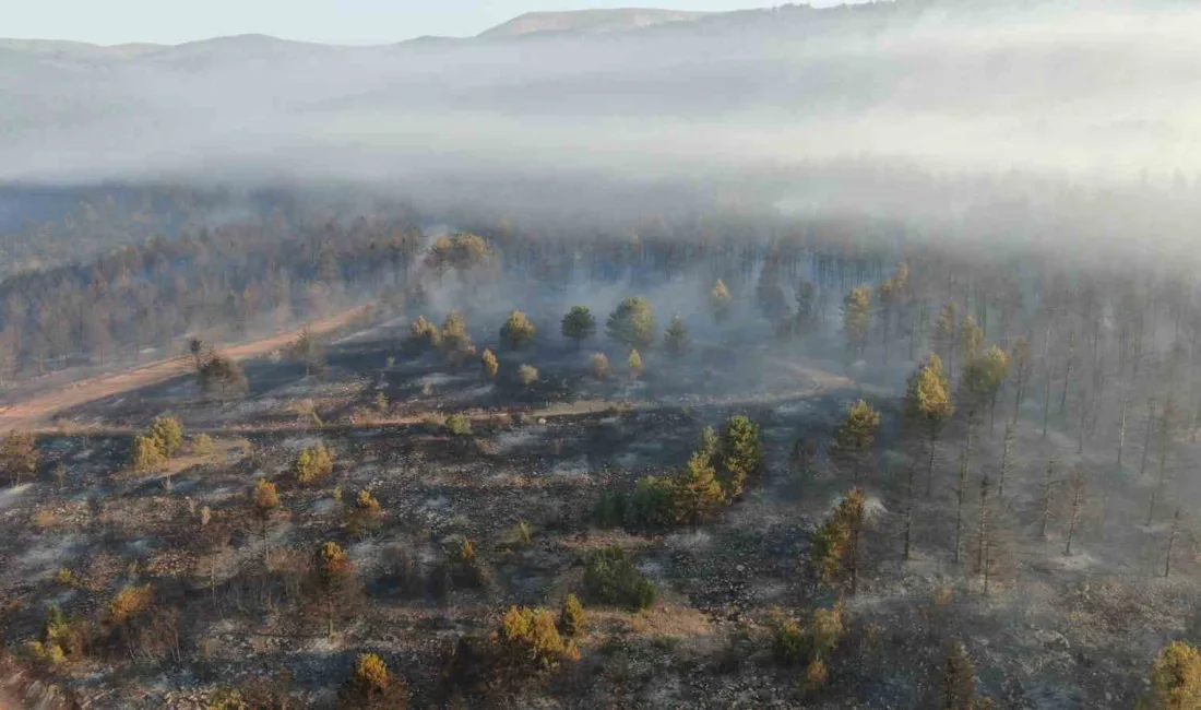 ÇANKIRI’NIN ILGAZ İLÇESİNDE ÇIKAN