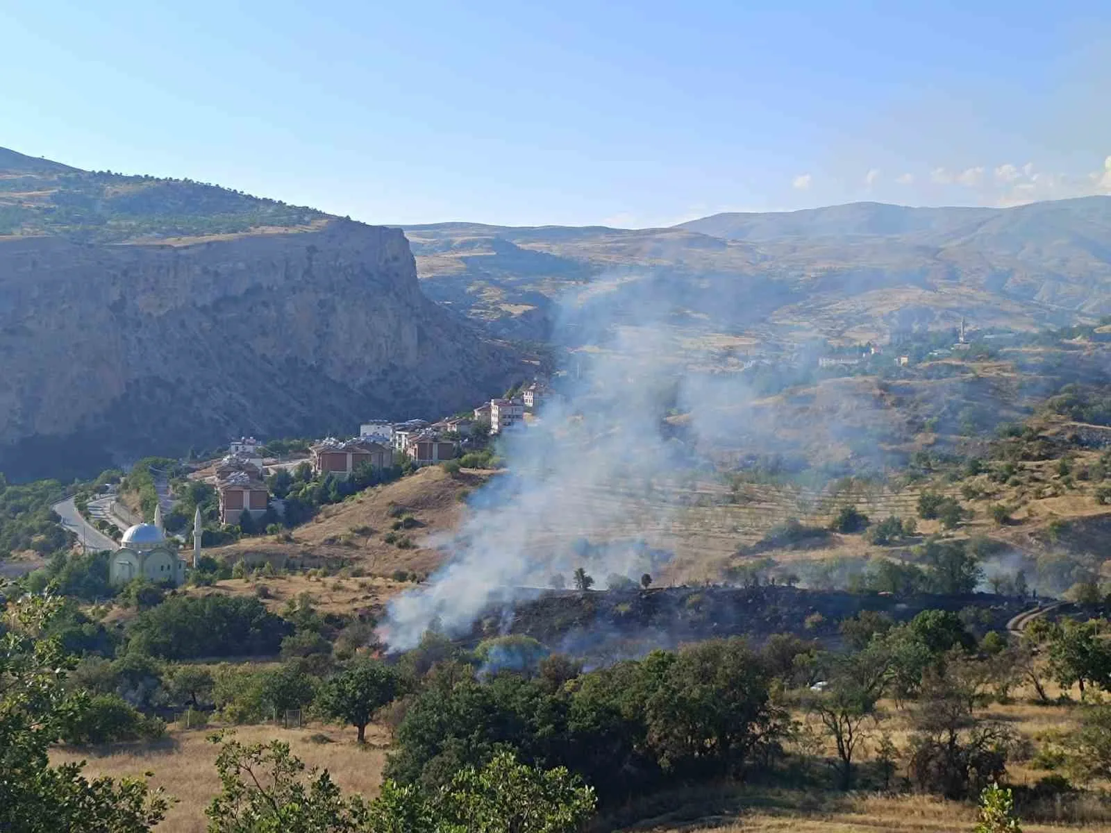 Çemişgezek’teki yangın yerleşim yerlerine sıçramadan söndürüldü