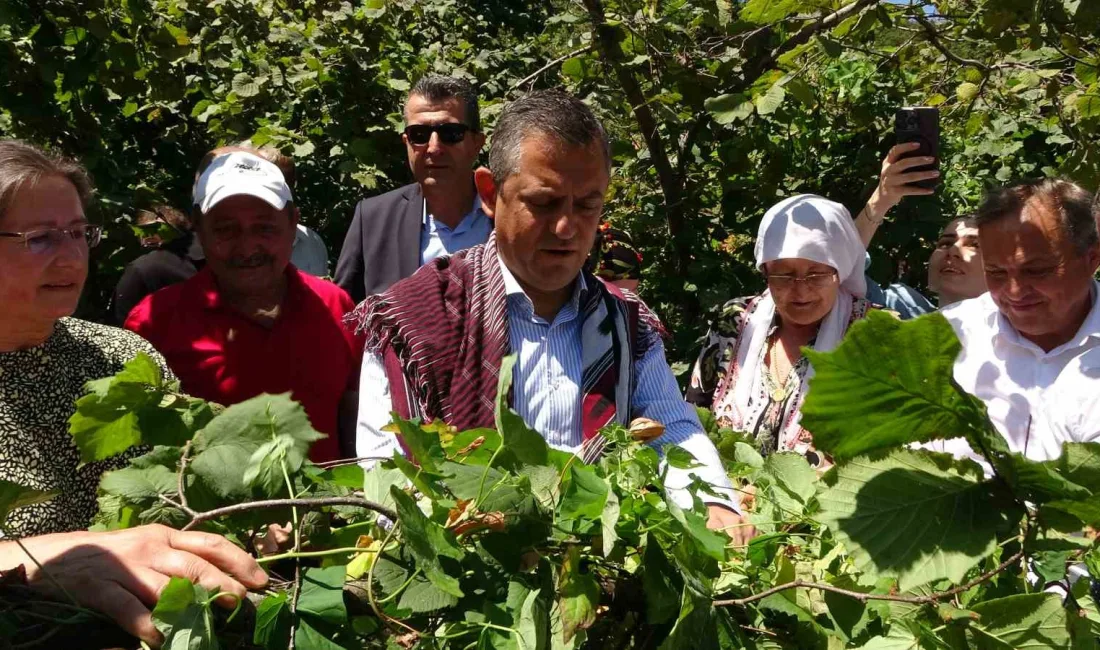 ÇEŞİTLİ PROGRAMLARA KATILMAK ÜZERE