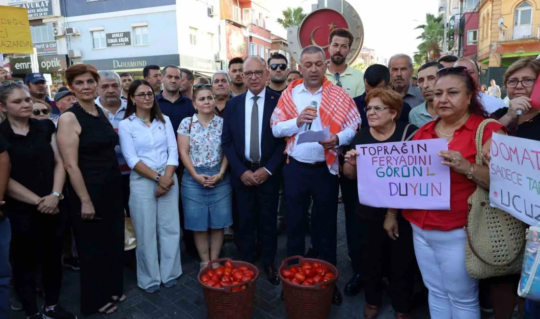 MANİSA'DA CHP'NİN DOMATES ÜRETİCİLERİNE