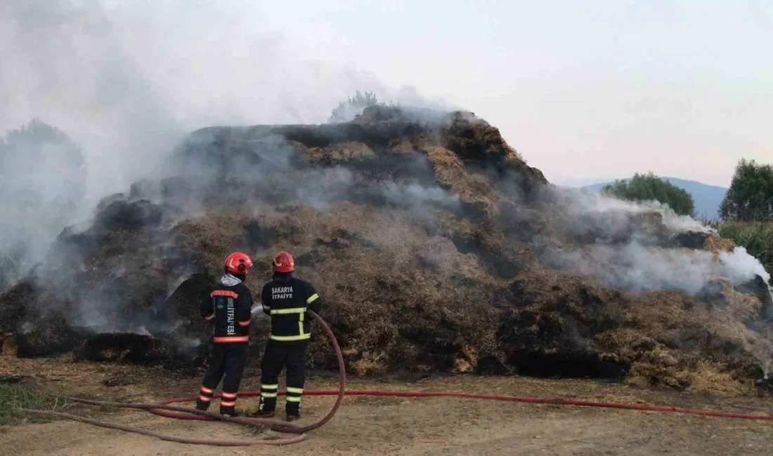 SAKARYA’NIN AKYAZI İLÇESİNDE ÇIKAN