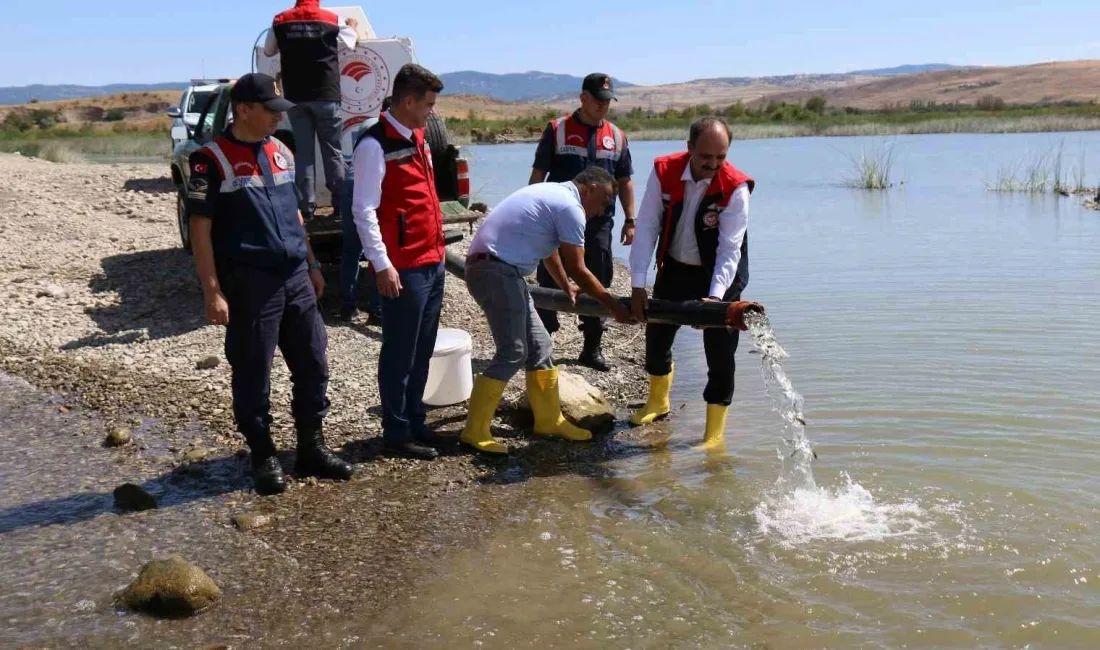 ÇORUM'DA İL TARIM VE