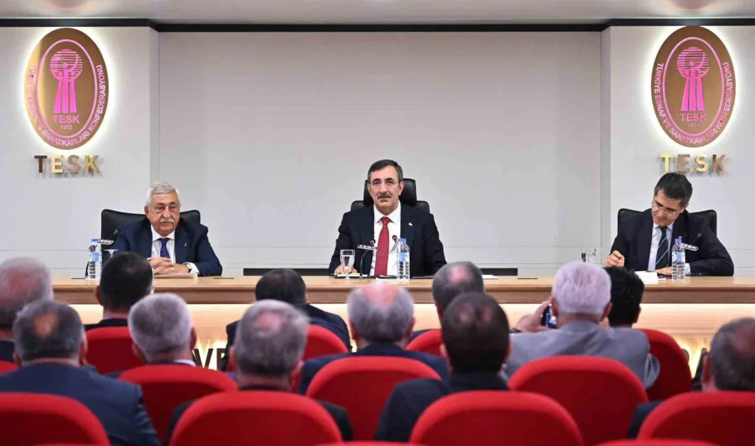 CUMHURBAŞKANI YARDIMCISI  CEVDET YILMAZ VE CUMHURBAŞKANLIĞI STRATEJİ VE BÜTÇE