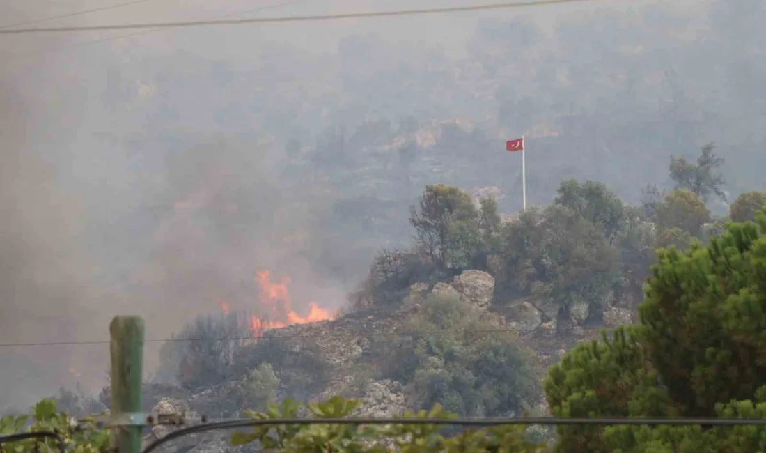 AYDIN'IN GERMENCİK İLÇESİNDE BAŞLAYARAK