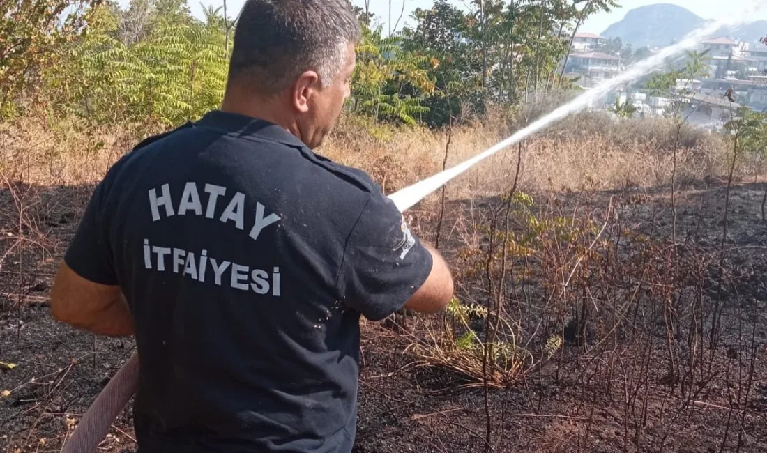 HATAY’IN DEFNE İLÇESİNDE ÇIKAN