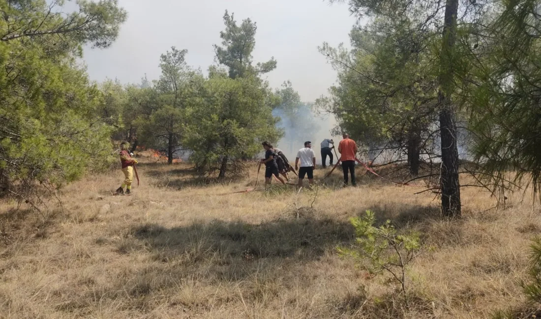 DENİZLİ’DE ORMANLIK ALANDA ÇIKAN