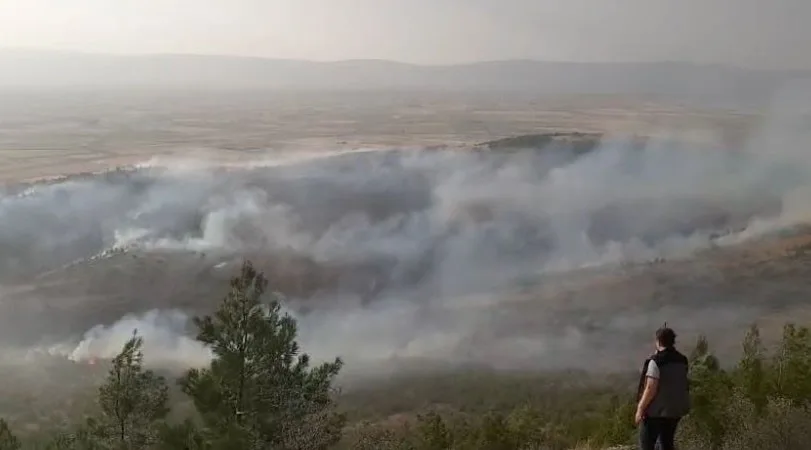 Denizli’deki orman yangını kontrol altına alındı