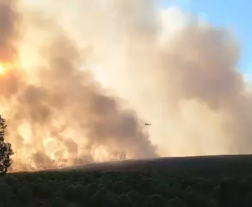 Didim’deki makilik yangınında çalışmalar devam ediyor