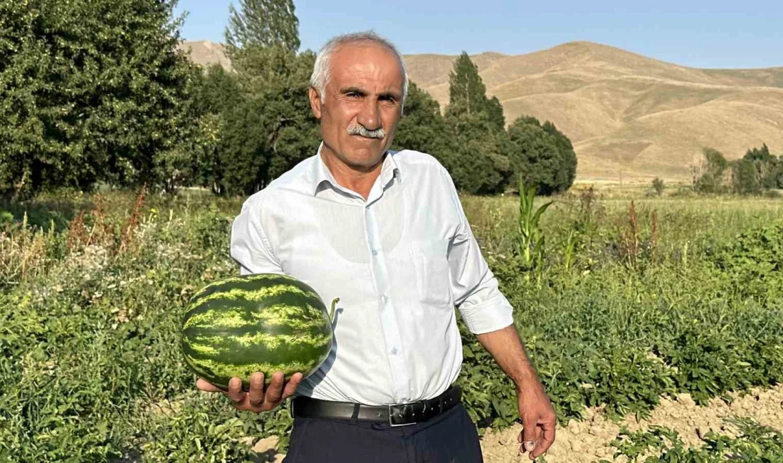 HAKKARİ’NİN YÜKSEKOVA İLÇESİNDE İKAMET