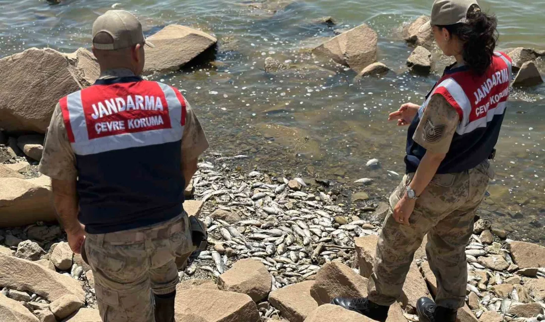 DİYARBAKIR’IN KAYAPINAR İLÇESİNDEKİ DEVEGEÇİDİ