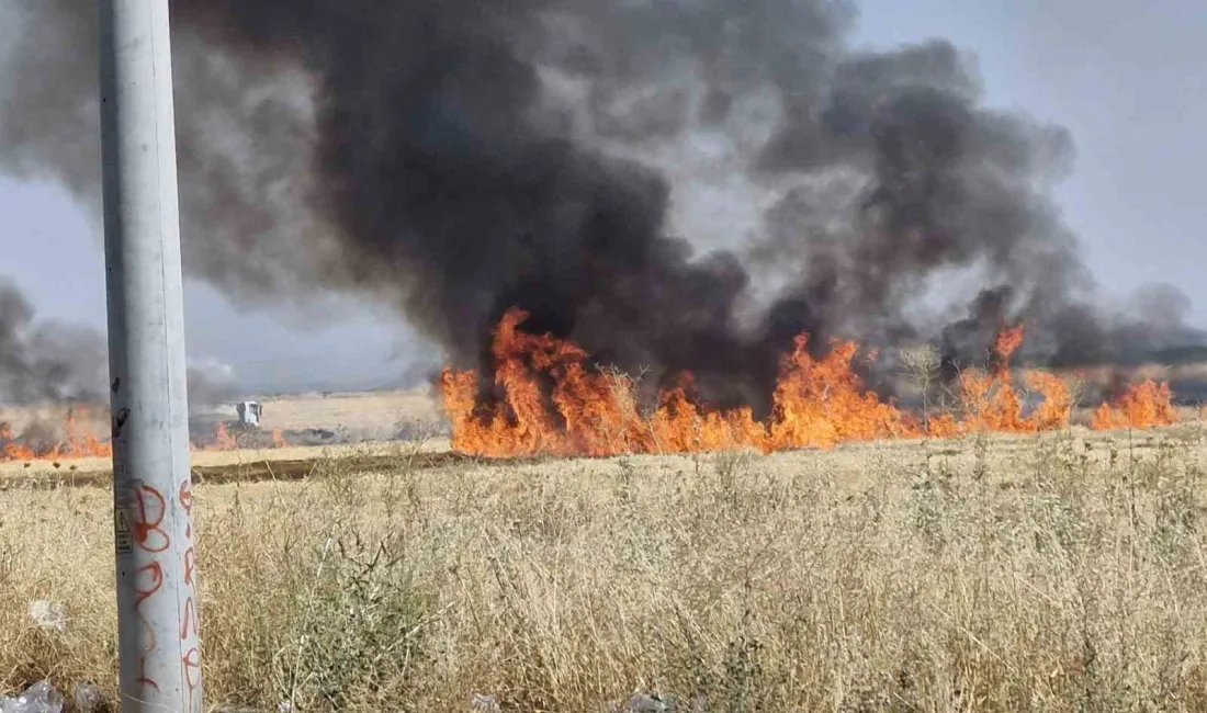 DİYARBAKIR’IN BAĞLAR İLÇESİNDE ÇIKAN