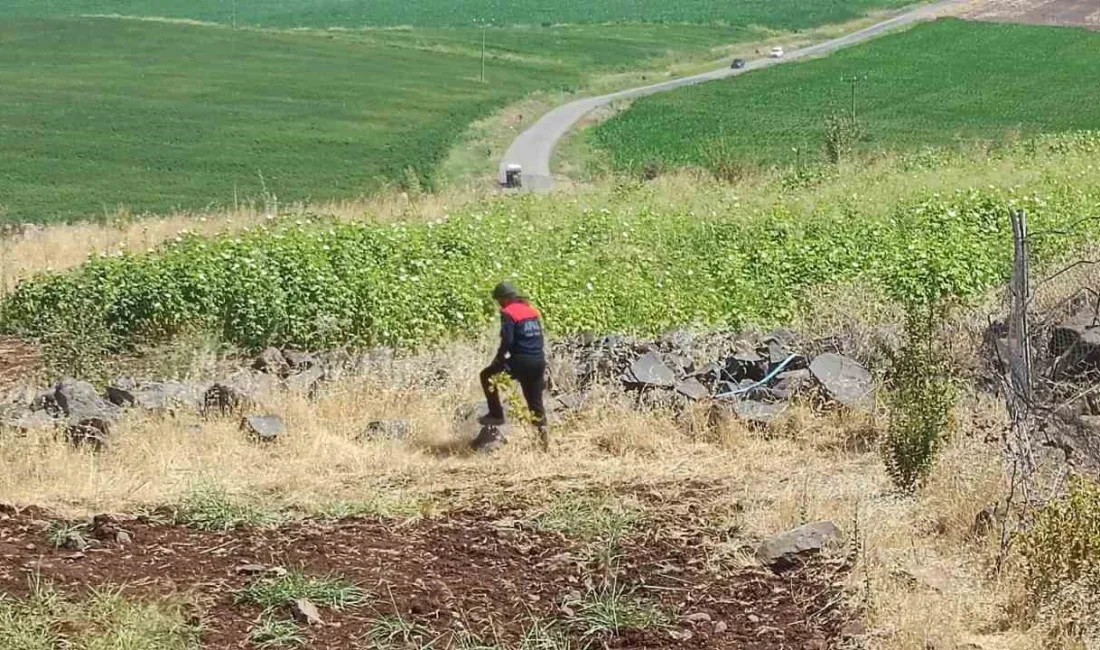 DİYARBAKIR’IN BAĞLAR İLÇESİNDE DÜNDEN