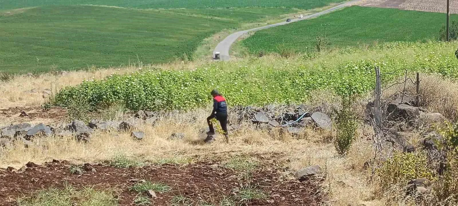 Diyarbakır’da kayıp 8 yaşındaki kız, iz takip köpeği ve dron desteğiyle aranıyor