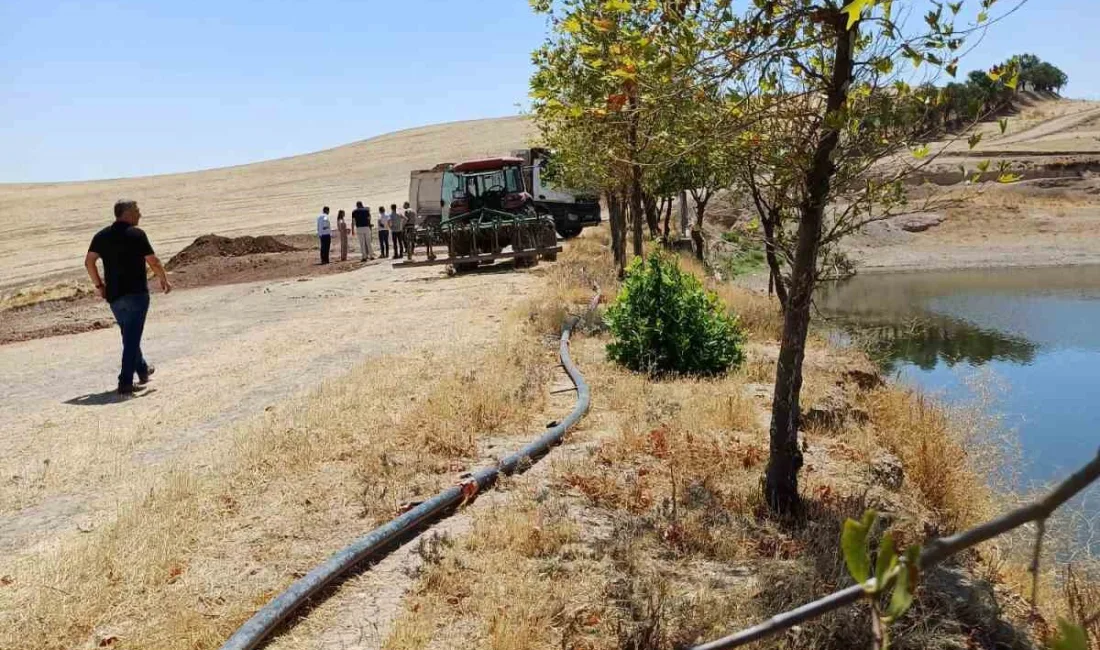 DİYARBAKIR BÜYÜKŞEHİR BELEDİYESİ, SUSUZ