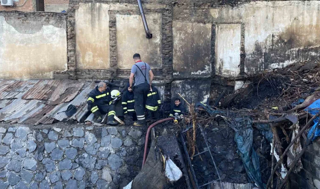 DİYARBAKIR’IN YENİŞEHİR İLÇESİNDE ODUN