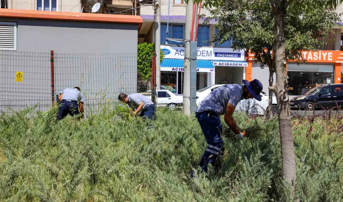 DİYARBAKIR BÜYÜKŞEHİR BELEDİYESİ, YENİŞEHİR