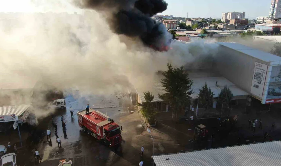 DİYARBAKIR’IN MERKEZ YENİŞEHİR İLÇESİNDE