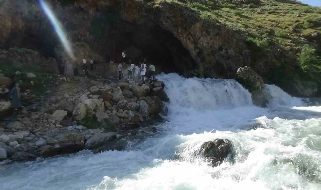 VAN'IN BAHÇESARAY İLÇESİNDE DAĞIN